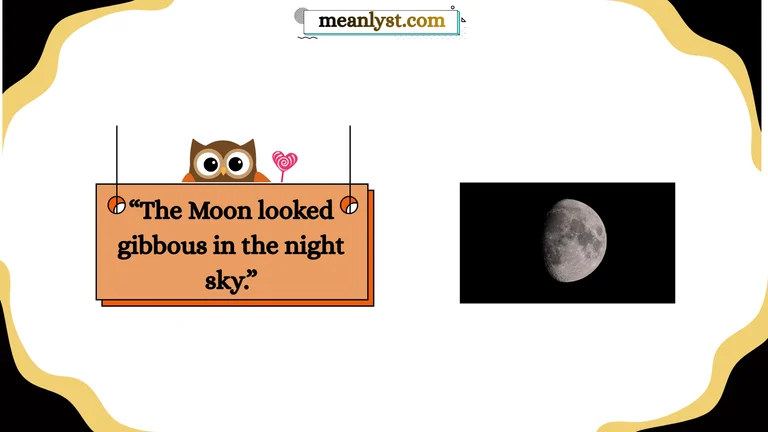 gibbous meaning
