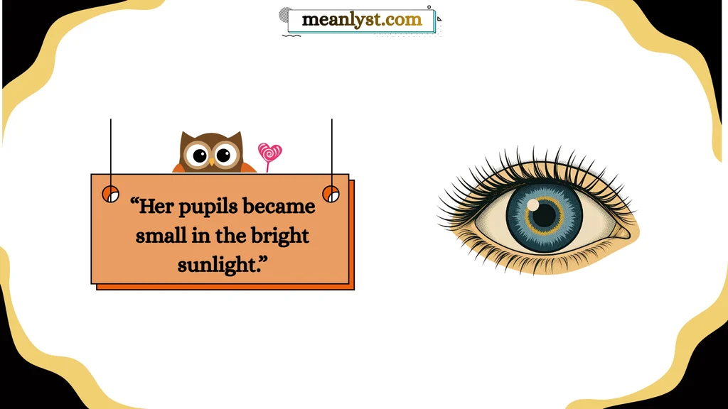 small pupils meaning