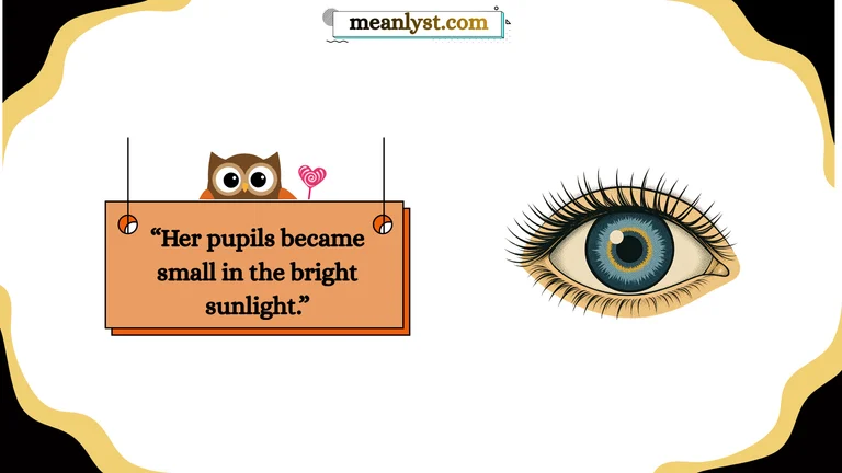 small pupils meaning
